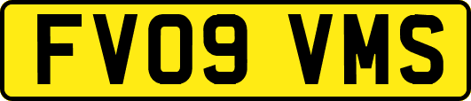 FV09VMS