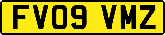 FV09VMZ