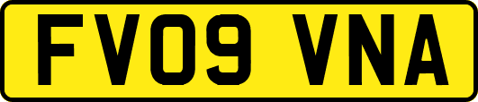 FV09VNA