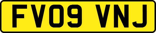 FV09VNJ