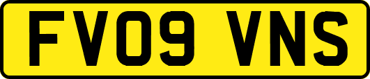 FV09VNS