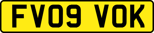 FV09VOK