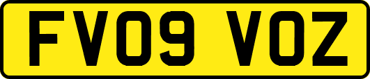 FV09VOZ