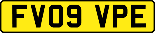 FV09VPE