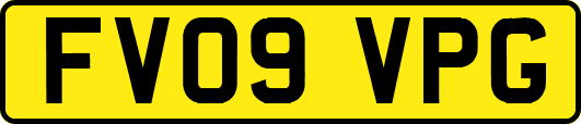 FV09VPG
