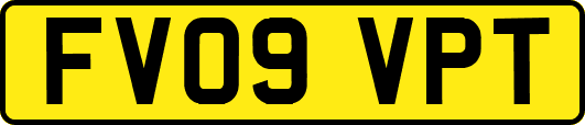 FV09VPT
