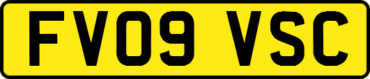 FV09VSC