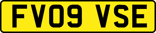 FV09VSE