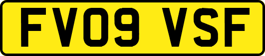 FV09VSF