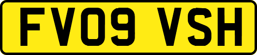FV09VSH