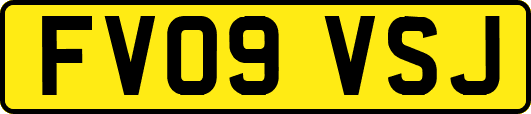 FV09VSJ