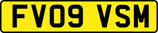 FV09VSM