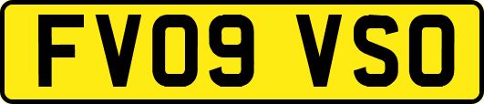 FV09VSO