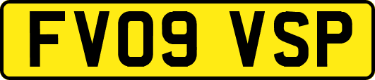 FV09VSP