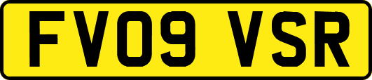 FV09VSR