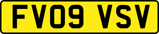 FV09VSV