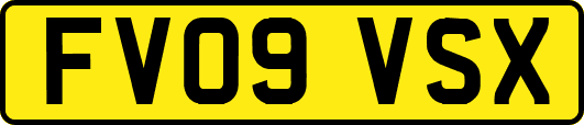 FV09VSX