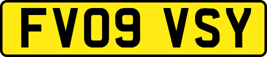 FV09VSY