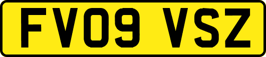 FV09VSZ