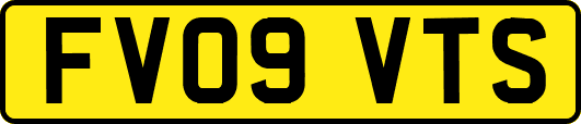 FV09VTS