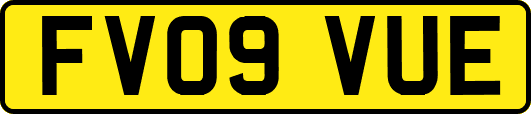 FV09VUE