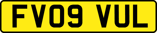 FV09VUL