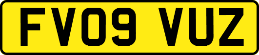 FV09VUZ