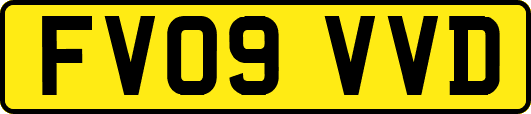 FV09VVD