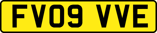 FV09VVE