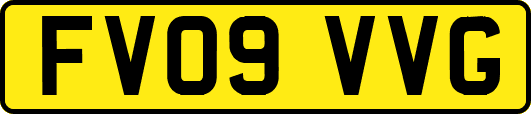 FV09VVG