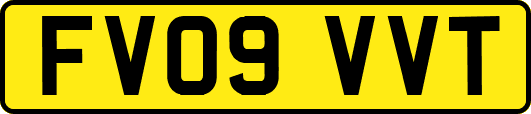 FV09VVT