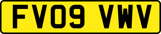 FV09VWV
