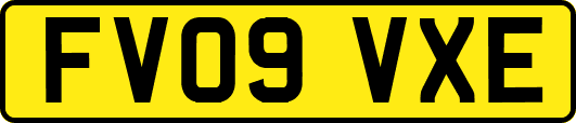 FV09VXE