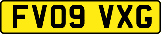 FV09VXG