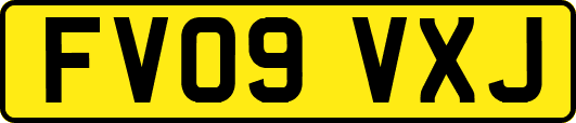 FV09VXJ