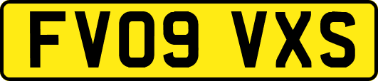 FV09VXS