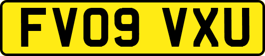 FV09VXU