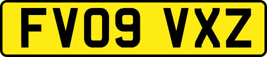 FV09VXZ