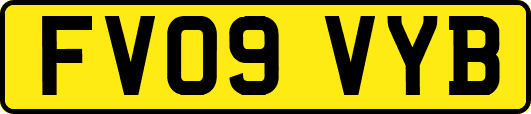 FV09VYB
