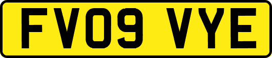 FV09VYE