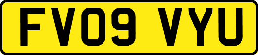 FV09VYU