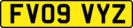 FV09VYZ