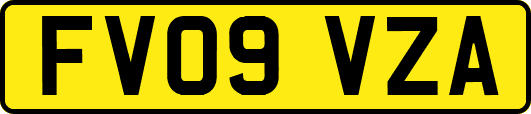FV09VZA
