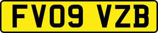 FV09VZB