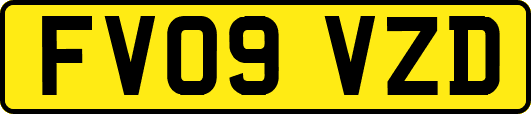 FV09VZD