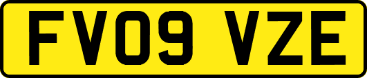 FV09VZE