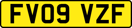 FV09VZF