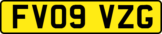 FV09VZG