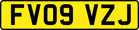 FV09VZJ