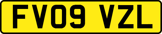 FV09VZL